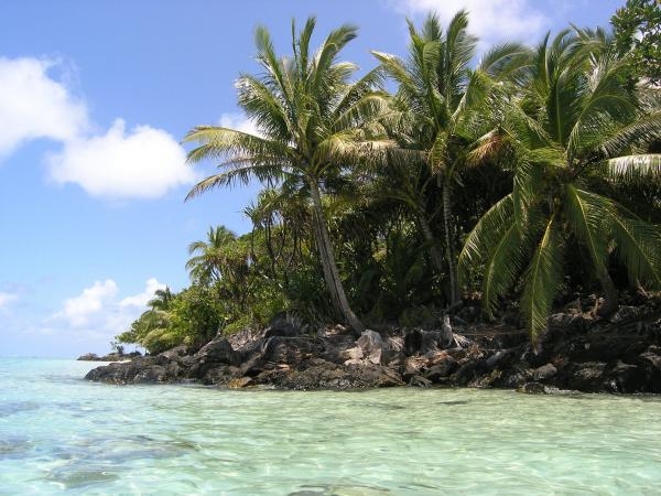 Madagaskar: Galapagos Afrike