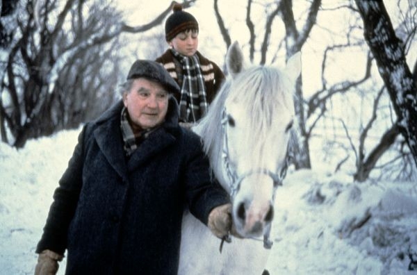 Film Poslední zima
