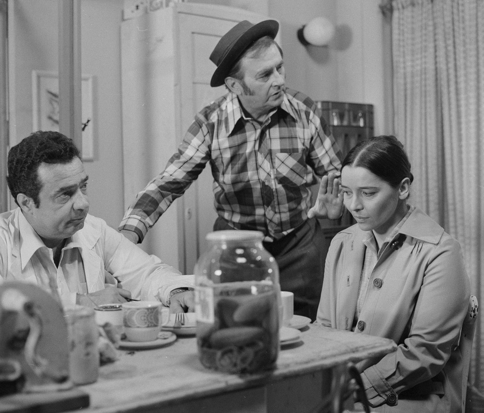 Najlepšie české komédie z roku 1978 online