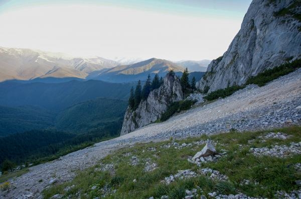 Karpatští predátoři