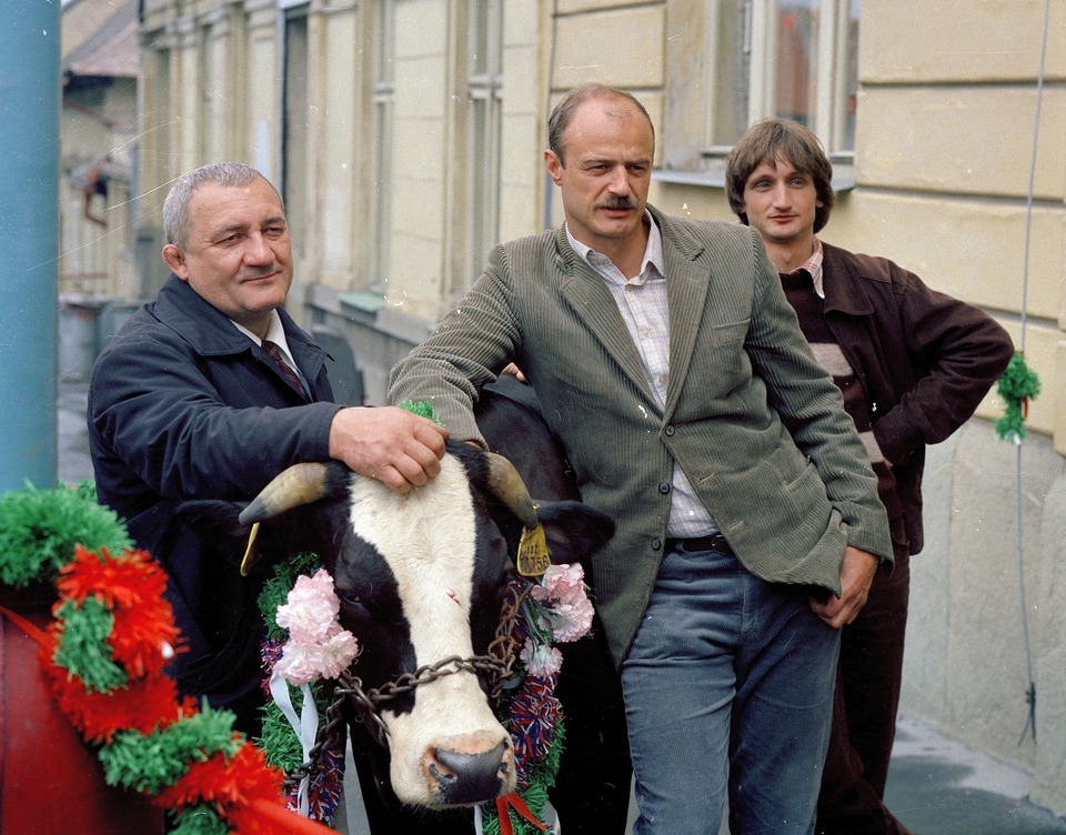 Serial Druhý dech