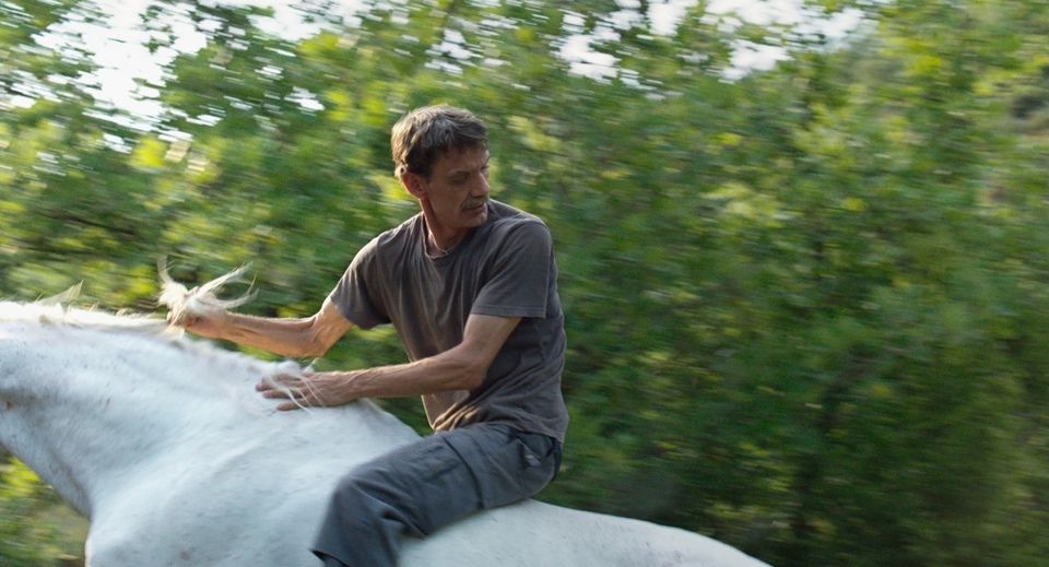 Bulgaria: the best movies from year 2010-2019 online