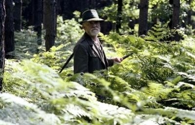 Film Stín kapradiny