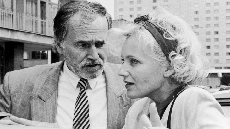 Film Pajęczarki