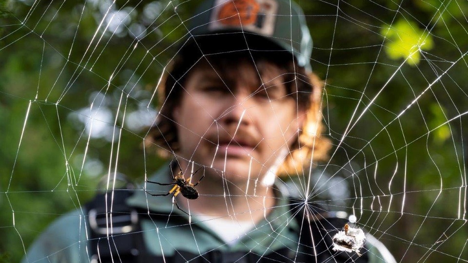 Josh McDermitt - Creepshow