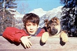 The best austrian crime and detective films online