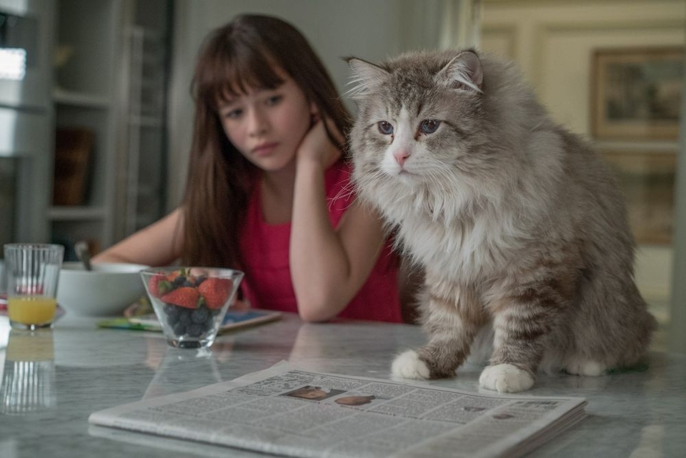 Malina Weissman - Já, kocour