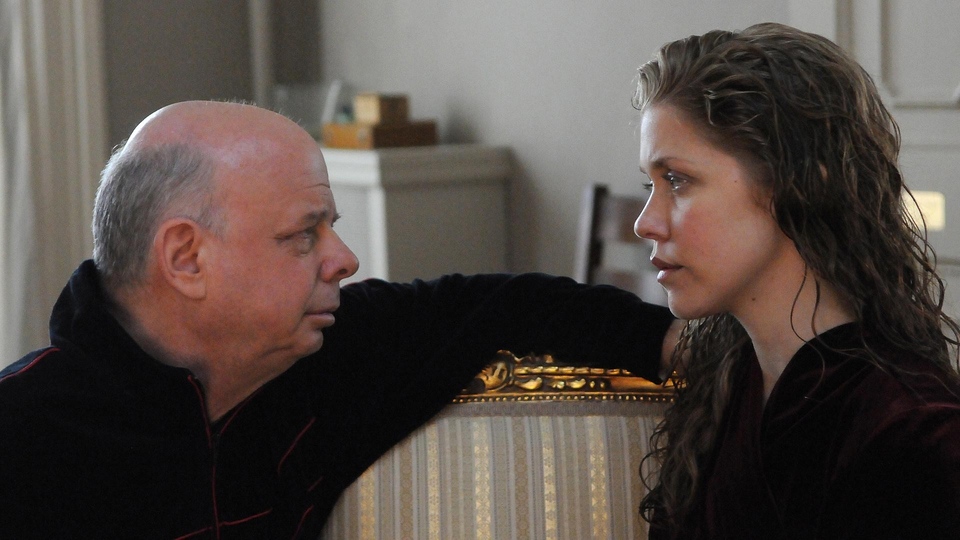 Wallace Shawn - A Master Builder