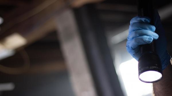 Ztracení chlapci z okresu Bucks