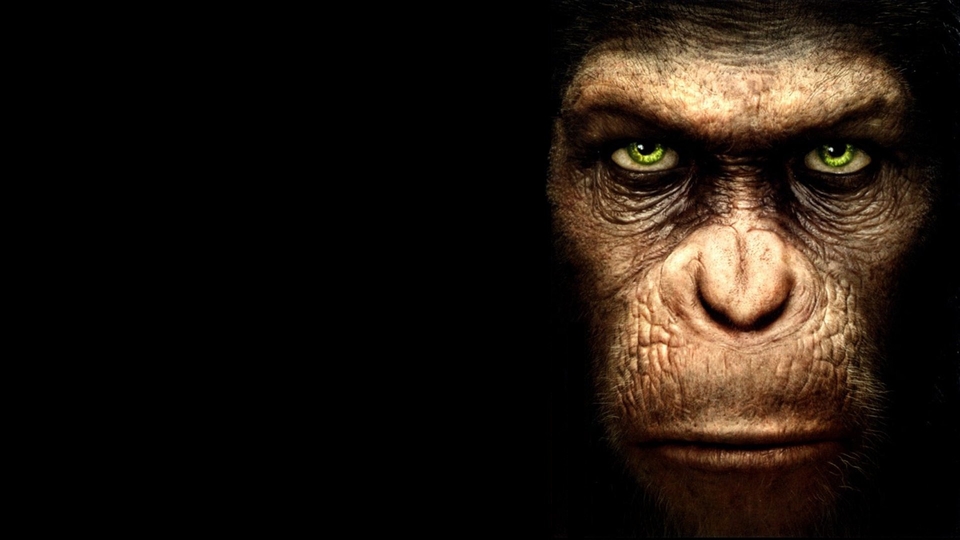 Film Rise of the Planet of the Apes