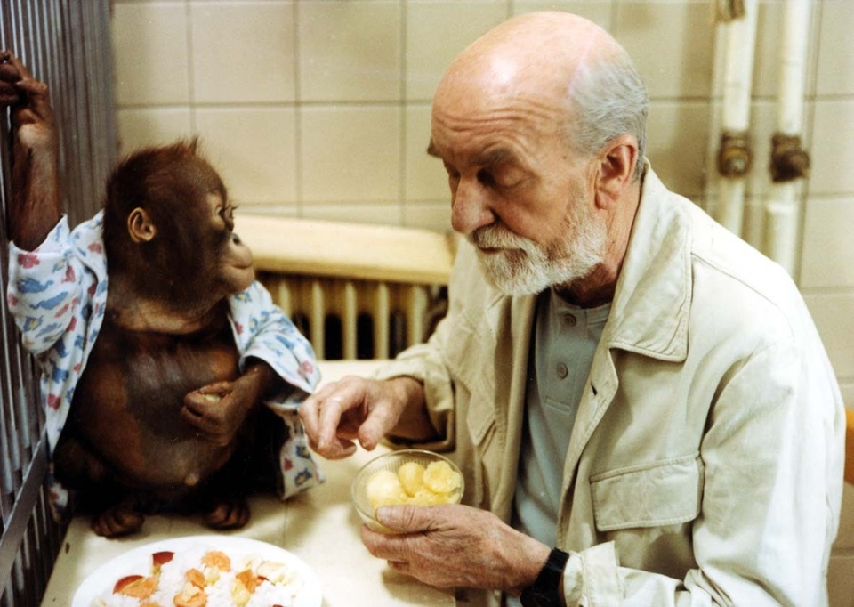 Найкращі чеські фільми для всієї родини з року 1989 онлайн