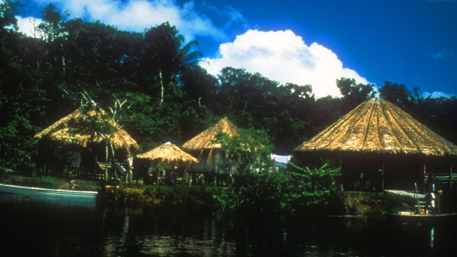 Series Amazonija