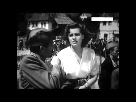 Film Šolaja