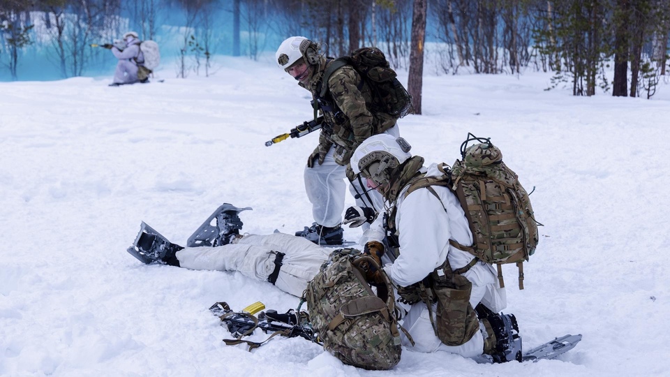 The best foreign new war from year 2024 online