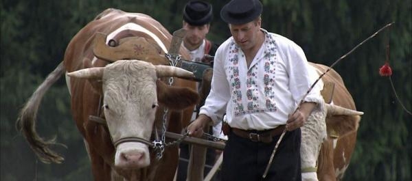 Poľana