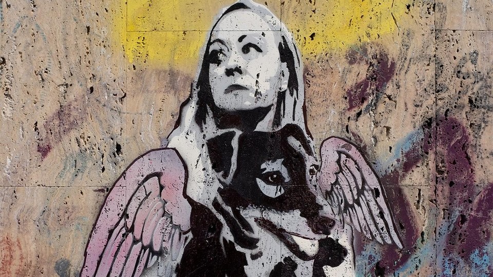 Film #dogpoopgirl