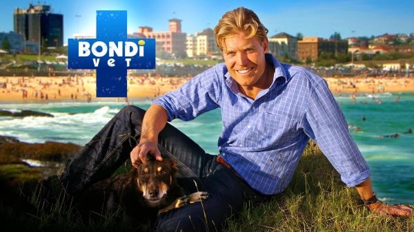 Veterinář z Bondi Beach