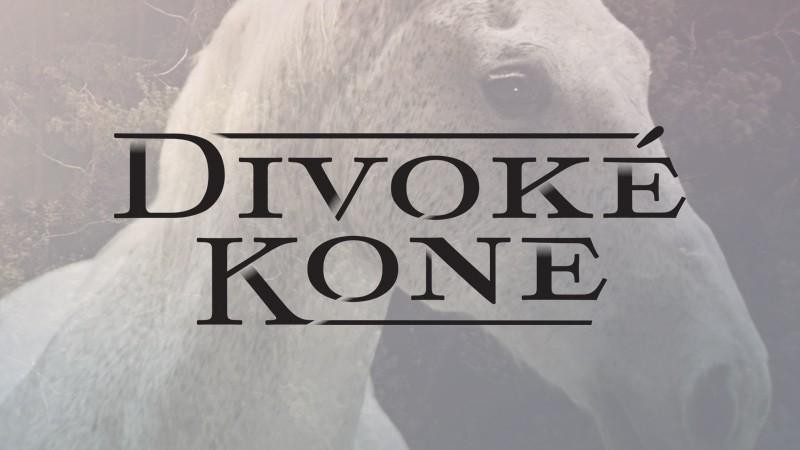 Seriál Divoké kone