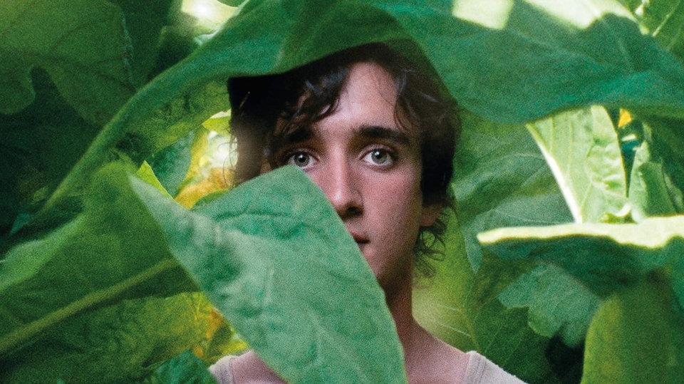 Film Šťastný Lazzaro