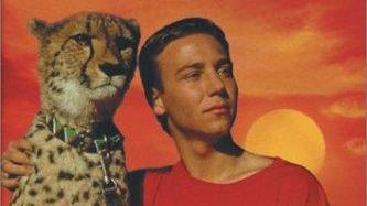 Gepard, cena szybkości