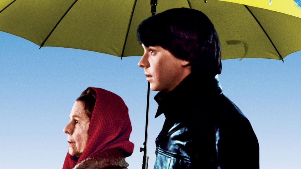 Film Harold a&nbsp;Maude