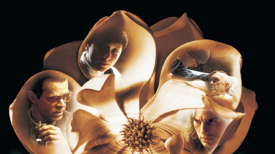 Film Magnolia