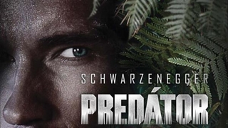 Predátor