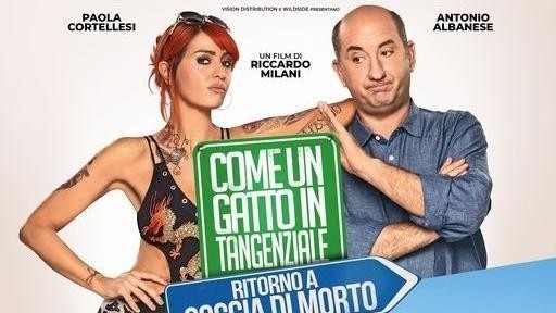 Film Ako mačka na diaľnici 2