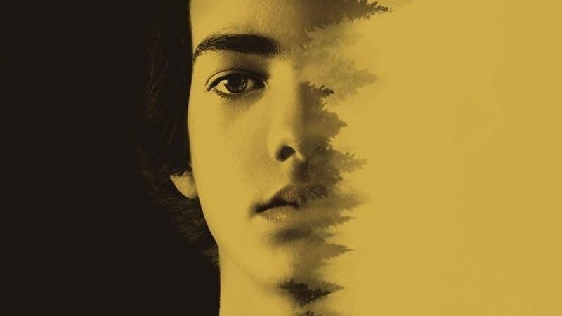 Film Miejska dżungla