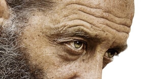 243 art movies online