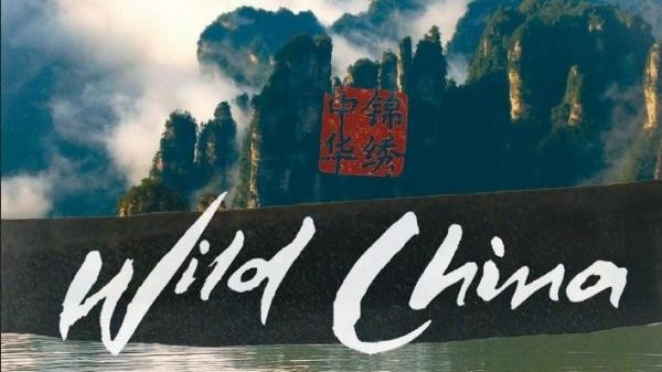 Dzikie Chiny
