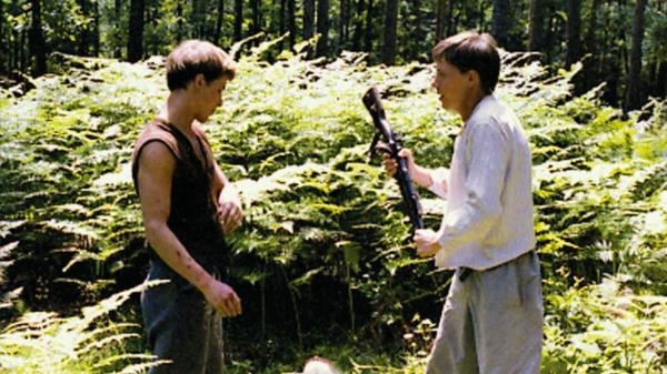 Stín kapradiny