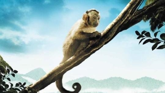 Amazonia