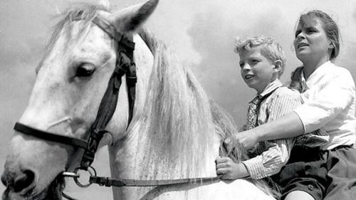 Найкращі іноземні драми з року 1965 онлайн