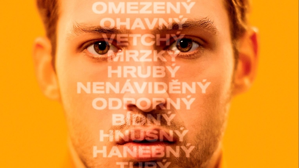 Фільм Synonyma