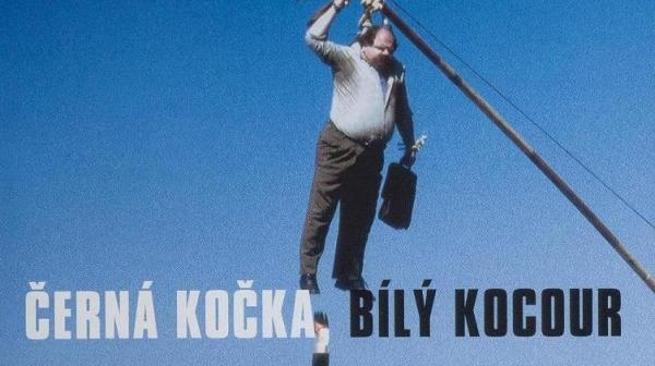 Čierna mačka, biely kocúr