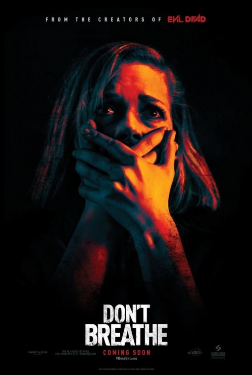 Film Muž v temnote