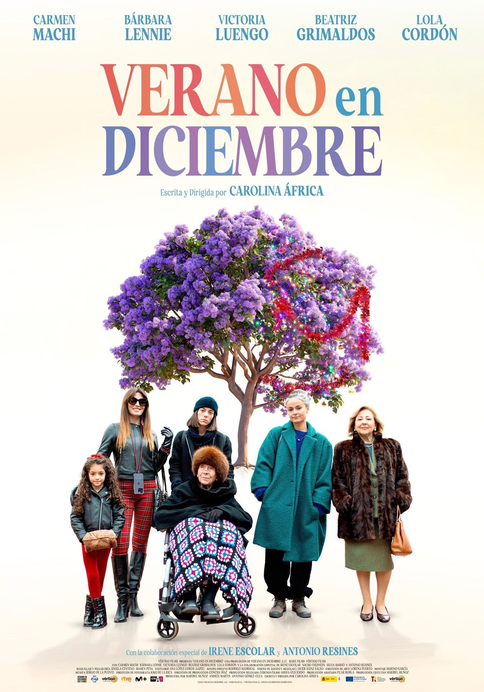 Film Verano en diciembre