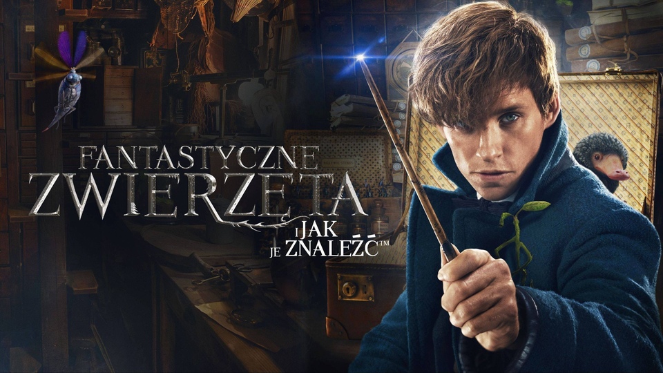 Film Fantastyczne zwierzęta i jak je znaleźć