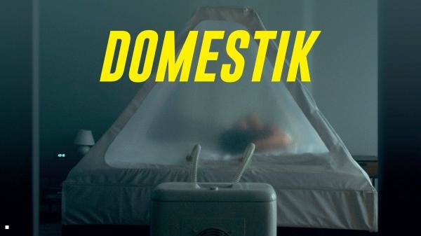 Domestik