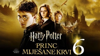 Harri Potter ta Napivkrovnyj prync