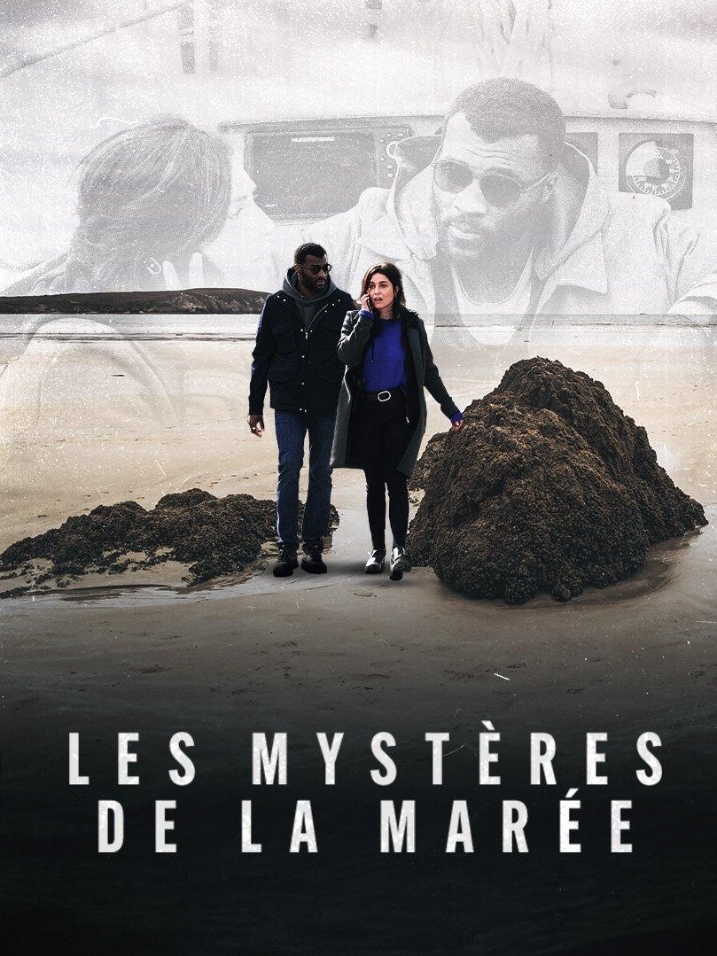 The best belgian new crime and detective films from year 2023 online