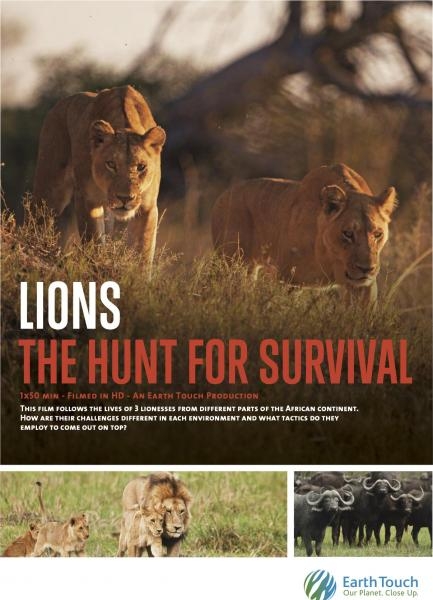 Histoires de lionnes