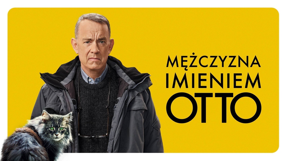 ZDF