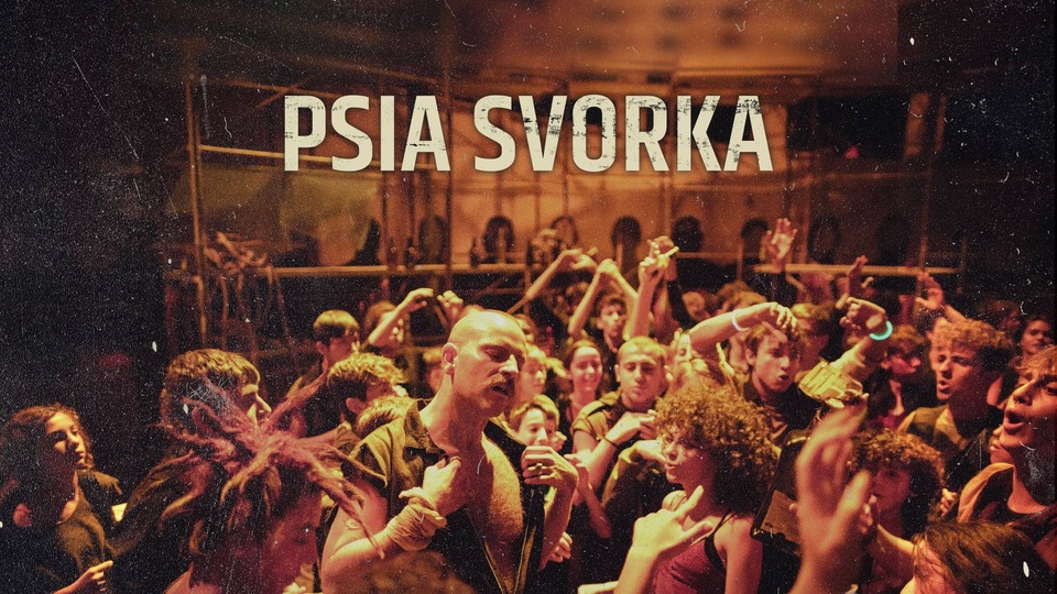 Film Psí svět