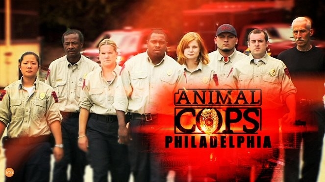 Animal Planet