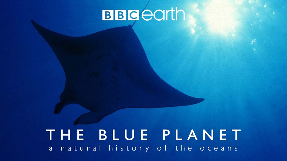 Dokumentarci Plavi planet: Prirodoslovni pregled oceana