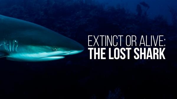 Extinct or Alive: The Lost Shark