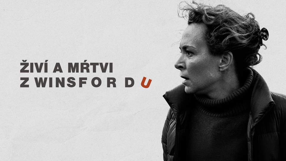 The best swedish films dramatiques from year 2024 online