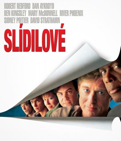 Slídilové